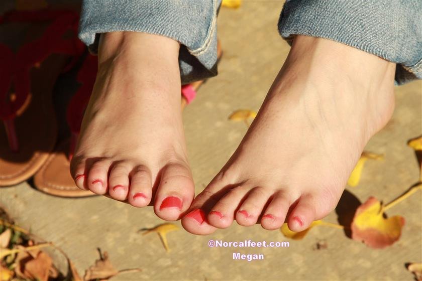 Cover 2 Megan 34 Photos