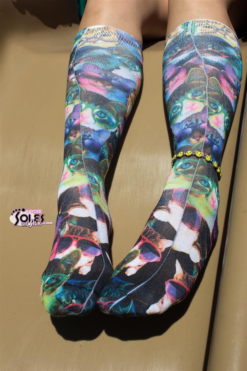 Cover 4 colorful cat socks mini 11 Photos