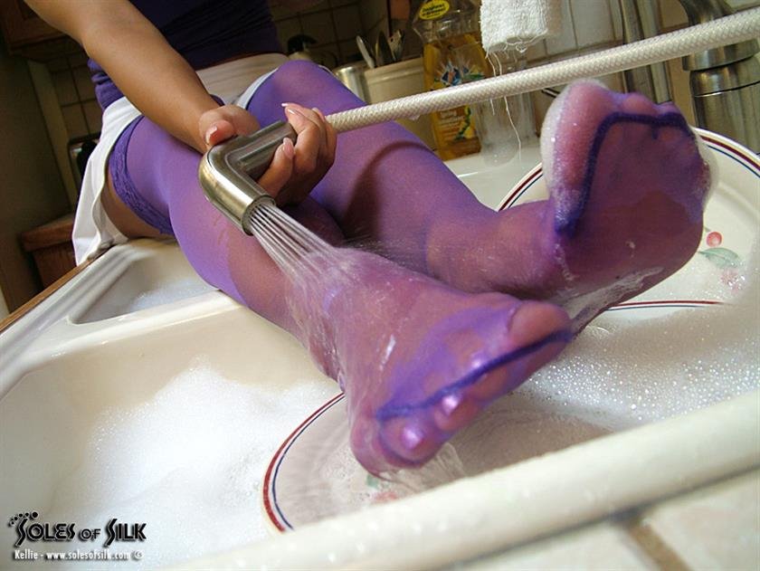 Cover 5 purple dishes 86 Photos