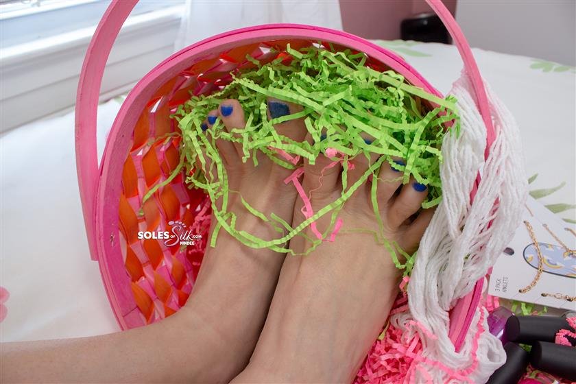 Cover 4 Soles of Silk - easter foot basket 70 Photos