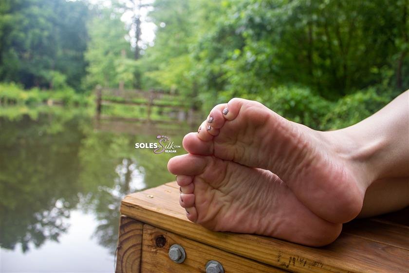 Cover 5 Soles of Silk - rainy day frog pond 65 Photos