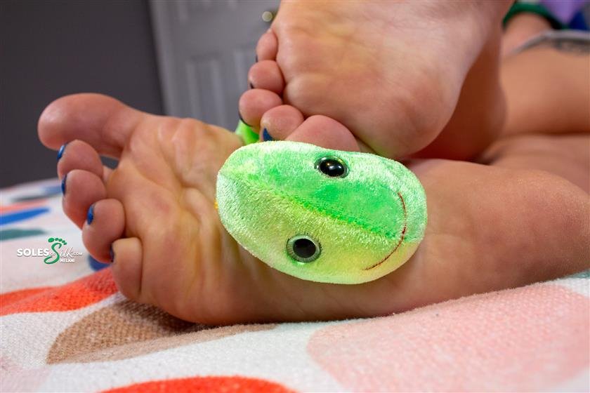 Cover 5 Soles of Silk - inchworm 69 Photos