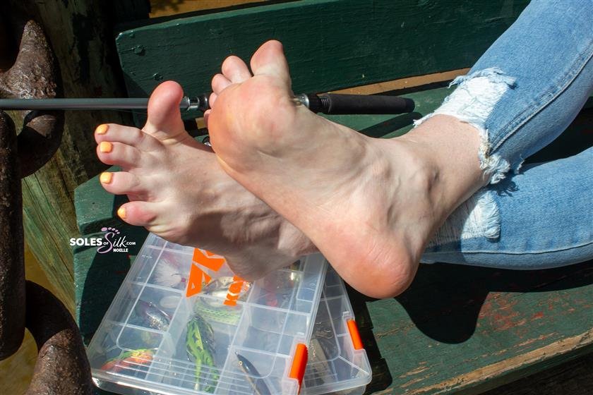 Cover 5 Soles of Silk - bait matters 65 Photos